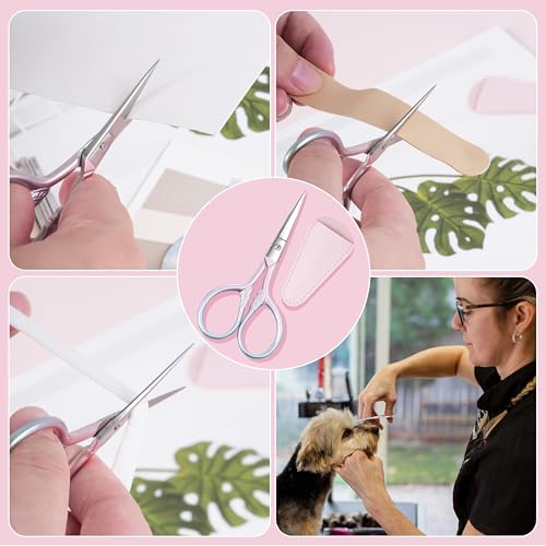 Professional Stainless Steel Eyebrow Scissors for Men Women, 2 Pack with Cases
