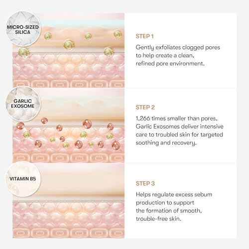 VT COSMETICS Garlic AC Reedle Shot Point Patch, Spot Patch for Early-Stage Blemishes (9 Patches)