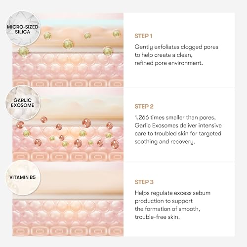 VT COSMETICS Garlic AC Reedle Shot Point Patch, Spot Patch for Early-Stage Blemishes (9 Patches)