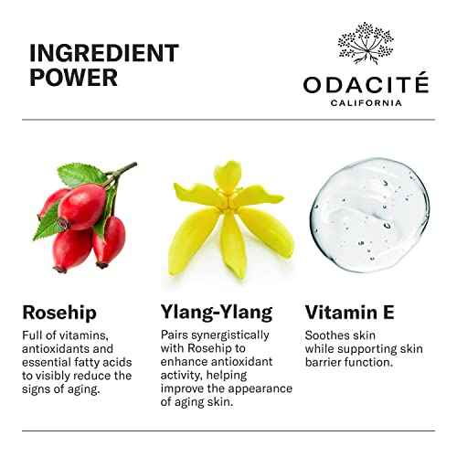 Odacit? Anti Aging Serum Concentrate with Rosehip + Ylang-Ylang - Lightweight Facial Serum For Mature Skin, Fine Lines, Nourishes for Look of Plump, Youthful Skin - 0.17 Fl. Oz