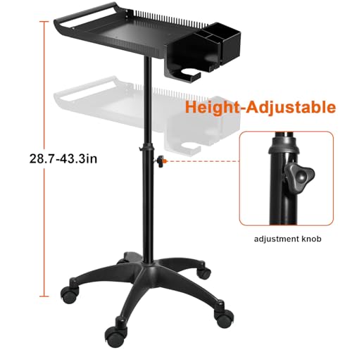 Hairstylist Rolling Cart, Salon Tray Cart on Wheels, Salon Trolley Braiding Hair Rack,Coloring Tray with Holder, Rolling Tool Trolley Hairstylist Station Organizer