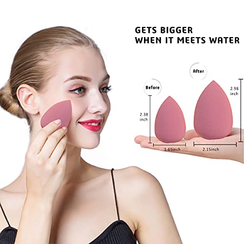 Leeshine Makeup Sponges Set - 4 Pcs Blending Beauty Blenders with Holder & Egg Case, Pink, Pack of 5 Variations