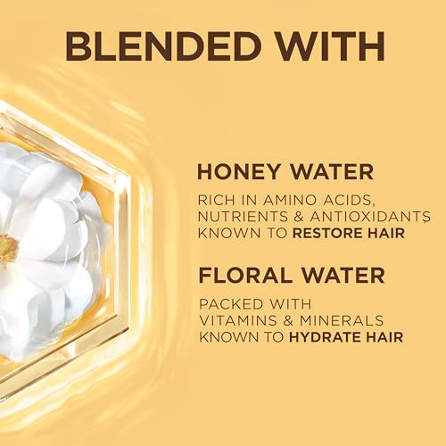 Garnier Whole Blends Honey Water Moisture Restoring Conditioner, Hair Care for Dry Hair and Dry Scalp with Honey Nectar and Floral Water, 26.6 Fl Oz