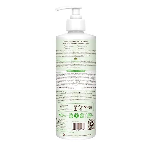 Babo Botanicals Swim & Sport Citrus Mint & Passion Fruit Shampoo & Wash - Purifying Cleanser for hair & body- Removes chlorine & sweat - For all ages - Scented with Citrus & Peppermint Essential Oils