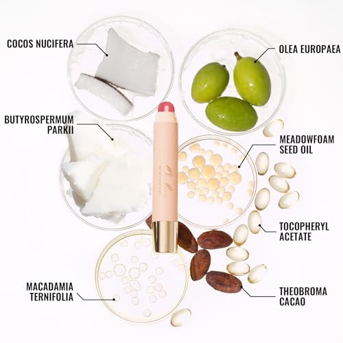 Oulac Reddish Brown Lipstick & Blush Duo - Glossy, Vegan