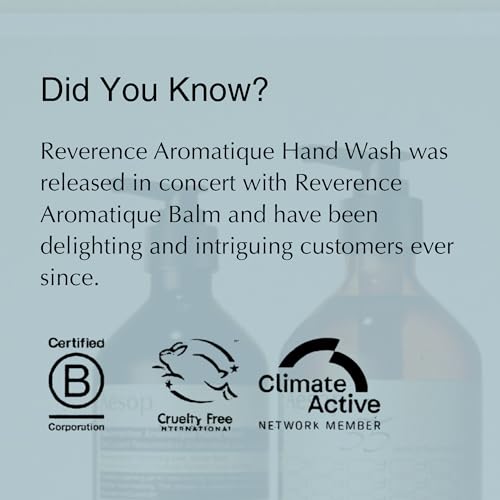Aesop Reverence Aromatique Exfoliating Hand Wash 500mL