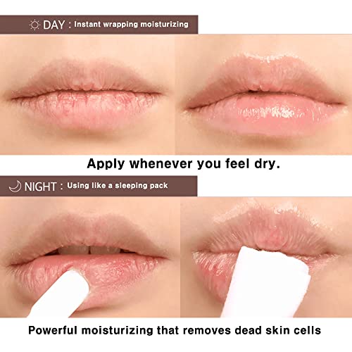 BBIA Vegan Shea Butter Lip Oil Balm 0.35 Fl Oz - Hydrating & Nourishing Lip Care, Korean Lip Moisturizer for Dry Cracked Chapped Lips, Natural Glow for Men and Women, Korea Makeup