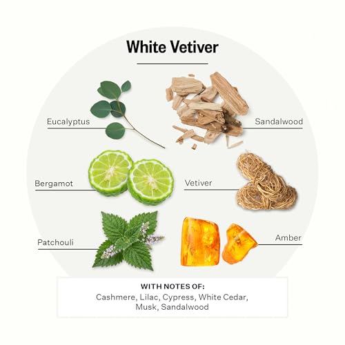 APOTHEKE White Vetiver Scented Candle - 10.5 Oz Home Fragrance