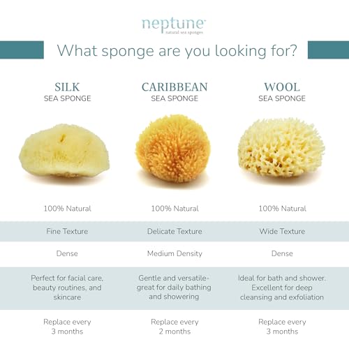 Neptune Caribbean Sea Sponge, Hand Cut, XXL, Approx. 8-9 inches
