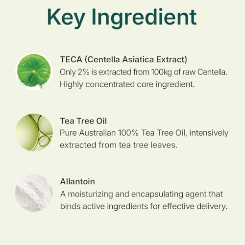 CENTELLIAN 24 Madeca Powder Tea Tree AC (Soothing Powder, 0.21 oz) ? Oil Control & Pore-Tightening for Acne-Prone Skin, Korean Skincare with Hyper-TECA¢â Tea Tree & Allantoin