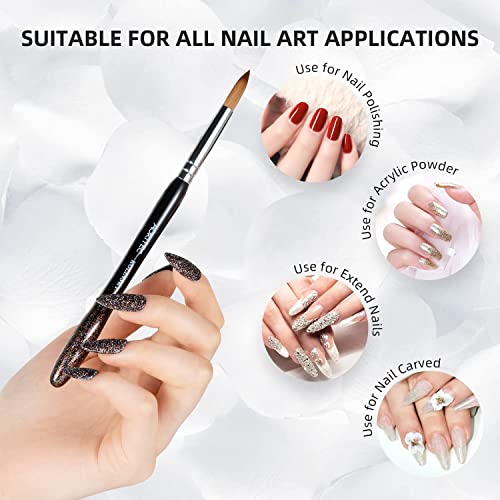 Aokitec 100% Kolinsky Acrylic Nail Brush #8 Oval Crimped Sable Acrylic Brush Wood Nail Art Brush for Acrylic Application Manicure Tool（Crystal）