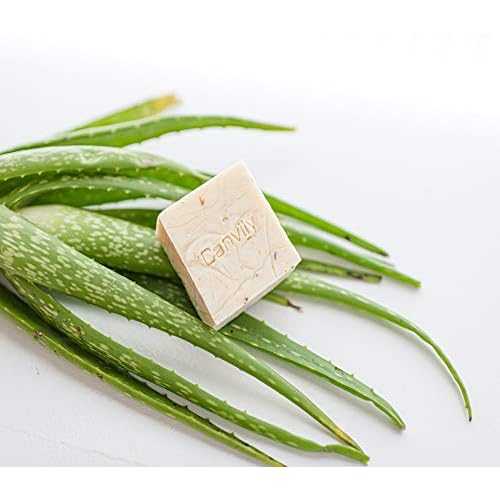 Canviiy 3-in-1 Purifying Nourish + Calm Natural Cleansing Bar, Infused with Calendula, Chamomile, Peppermint Oil, Witch Hazel and Lavender Petals to Soothe, Renew, and Repair Dry Skin - 4 Oz (Pack of 1)