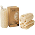 Chill Ah Natural Loofah Sponge 4-Pack – Plant-Based Bath Exfoliator