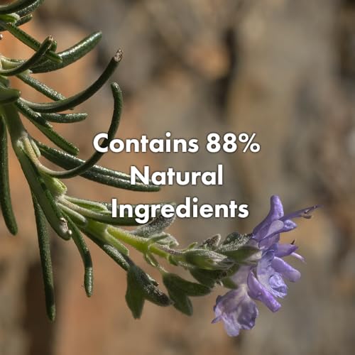 RATED GREEN Detangling Hair Mist | Lemon Freesia Musk