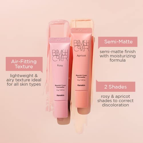 Hanskin Blemish Cover Rosy Full Coverage Concealer 12g
