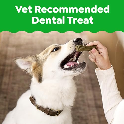 Greenies Dental Dog Treats Regular Size, 36 Count