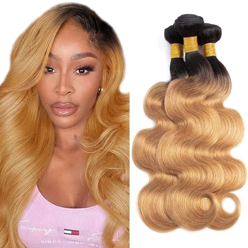 Ombre Blonde Body Wave Human Hair Bundles - 1B27, 20-24 Inch