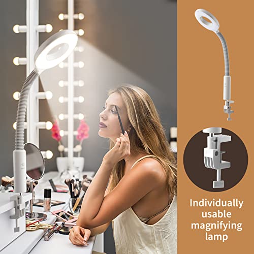 Winado 2-in-1 Facial Steamer with 5X Magnifying Light