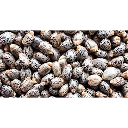 OPO Pure Castor Bean Oil - Pure, Organic, Cold Pressed, 4 OZ - Castor Oil for Hair, Nails, Eyelashes, Eyebrows, Beard