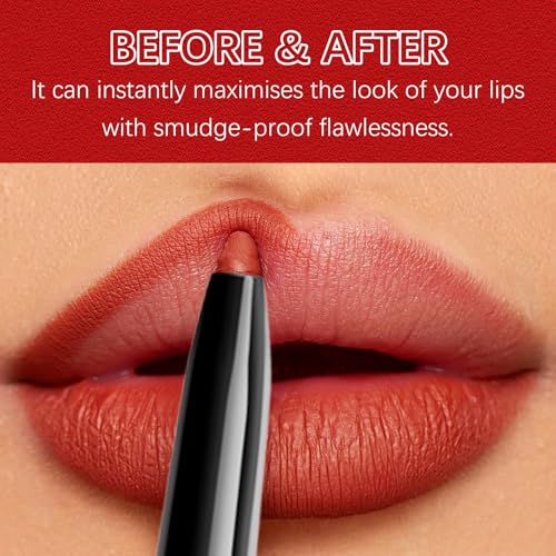 QueenDiary Lip Gloss and Liner Makeup Set, Lifter Gloss and Lifter Liner in Petal and Line Leader Shades (Confident and capable)