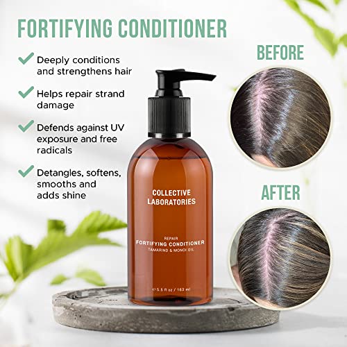 Collective Laboratories Fortifying Conditioner for Thinning Hair and Hair Loss, Postpartum Hair Loss Treatment, Hair Growth Treatment for Women and Men (Conditioner)