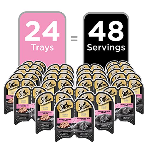 SHEBA PERFECT PORTIONS Cuts in Gravy Adult Wet Cat Food Trays (24 Count, 48 Servings), Gourmet Salmon Entrée, Easy Peel Twin-Pack Trays