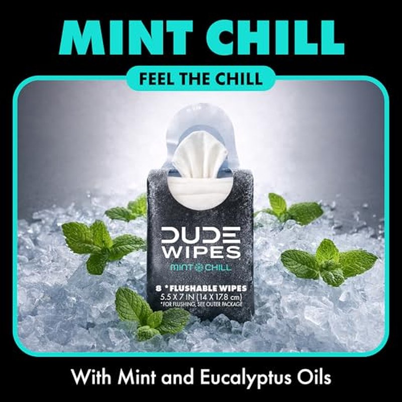DUDE Wipes Mint Chill Pocket Packs - 48 Flushable Travel Wipes