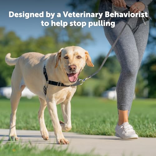 PetSafe Easy Walk No-Pull Dog Harness - The Ultimate Harness to Help Stop Pulling - Take Control & Teach Better Leash Manners - Helps Prevent Pets Pulling on Walks, X-Large, Black/Silver