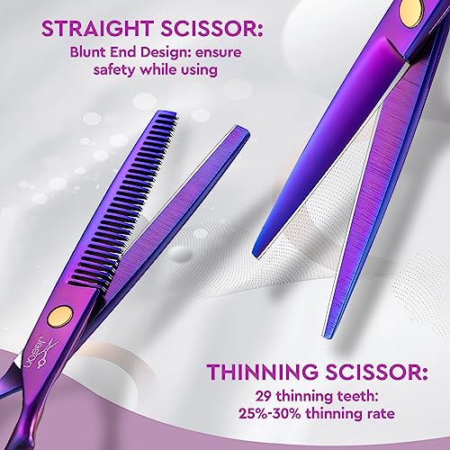 JASON 10-Piece Hair Cutting Scissors Set - Professional Barber Shears