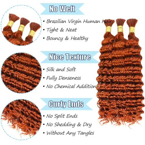 Fridnae 22 Inch Ginger Deep Curly Human Hair for Braiding | #350 Bulk Boho Braid Extensions