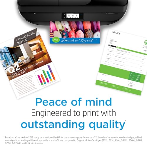 HP 902XL Black High-yield Ink Cartridge | Works with HP OfficeJet 6950, 6960 Series, HP OfficeJet Pro 6960, 6970 Series | Eligible for Instant Ink | T6M14AN