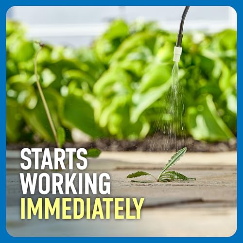 Roundup Weed and Grass Killer 1.33 gal with Pump 'N Go Sprayer