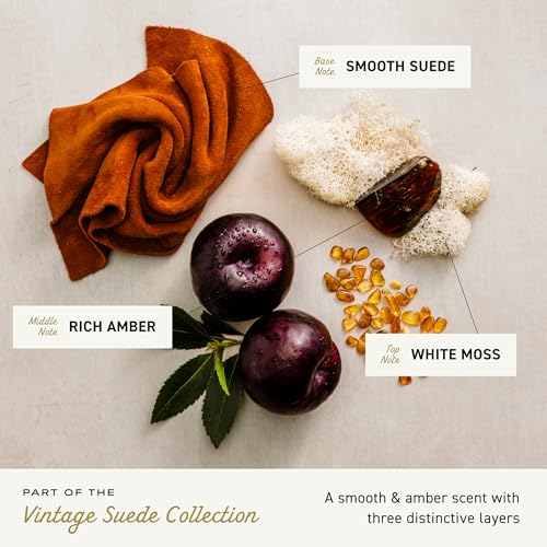 Cremo Vintage Suede Men's Cologne Spray - Long-Lasting Fragrance with White Moss & Amber - 3.4 Fl Oz