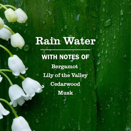 Mrs. Meyer's Clean Day Hand Soap, Rain Water, 12.5 Fl Oz (3-Pack)