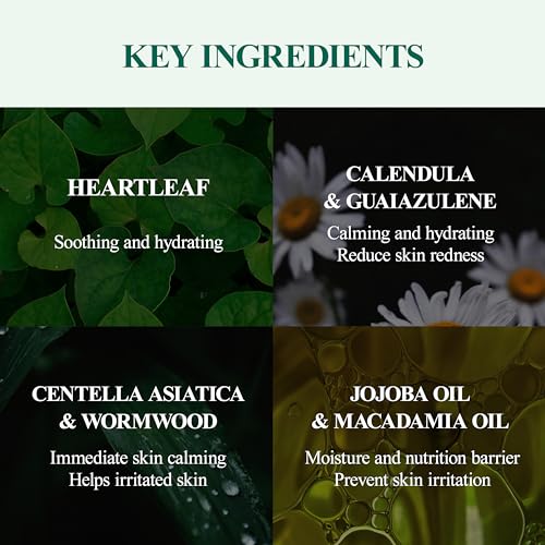 DERMALOGY by NEOGENLAB Real Heartleaf Soothing Cream 80g
