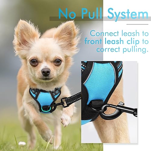 rabbitgoo Dog Harness, No-Pull Pet Harness with 2 Leash Clips, Adjustable Soft Padded Dog Vest, Reflective No-Choke Pet Oxford Vest with Easy Control Handle for Small Dogs, Blue, XS