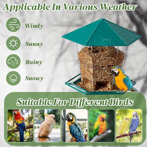 KSIA Squirrel Proof Bird Feeder with Large Capacity & Clear View