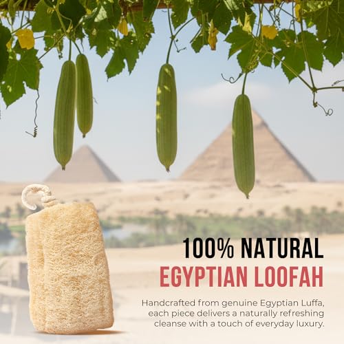 Egyptian Loofah Sponge Pack of 3 - Natural Body Scrubber