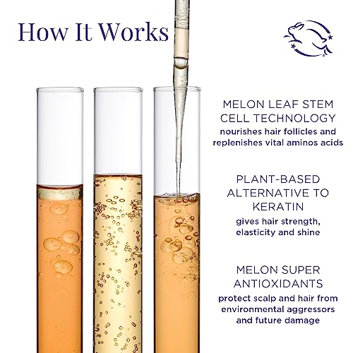 Meaningful Beauty Age-Proof Travel Size Shampoo & Conditioner Duo