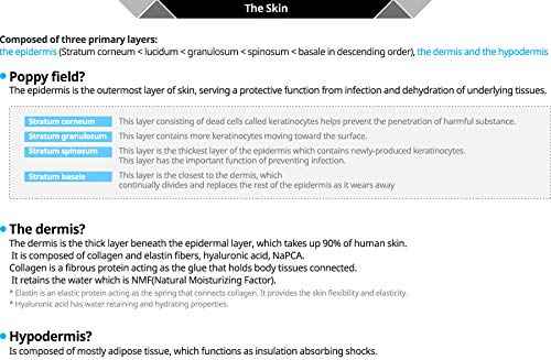 Atomy BB Cream - Skin Moisturizer for Face [Set of 2]