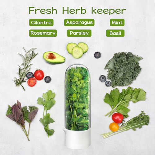 UEOZ 3PCS Herb Keeper for Refrigerator - Fresh Cilantro & Vegetable Storage Container Set