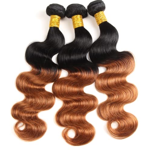 1B30 Ombre Body Wave Hair Bundles - 8, 10, 12 Inch