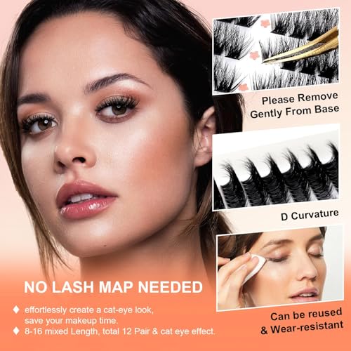 Lash Clusters 80D Cluster Eyelash Extensions 8-16mm Cat Eye Wispy Eyelash Clusters 12 Pairs D Curvature Eyelash Clusters Left & Right Diy Lash Extension at Home