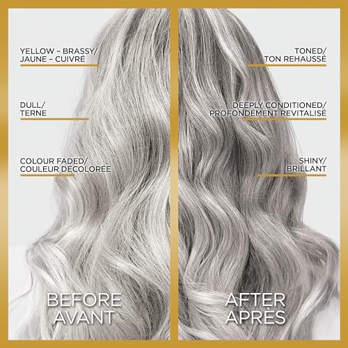 L'Oreal Paris Le Color Gloss Silver Toning Hair 4oz (Pack of 2)