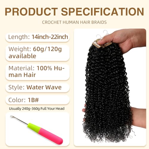 DRESSMAKER 14-Inch Water Wave Human Crochet Hair - 60g Lightweight & No Itch