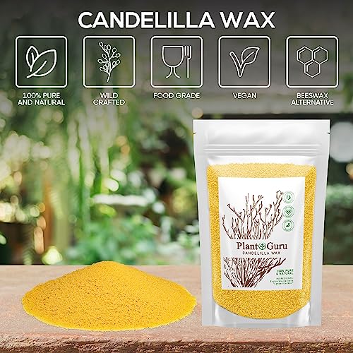 Candelilla Wax Pellets 2 lbs. Bulk 100% Pure Natual Food Grade Vegan Wax For DYI Lip Balm, Soap and Candle Making, Creams and Lotions. Great For Skin, Face, and Hair applications. Beeswax Alternative