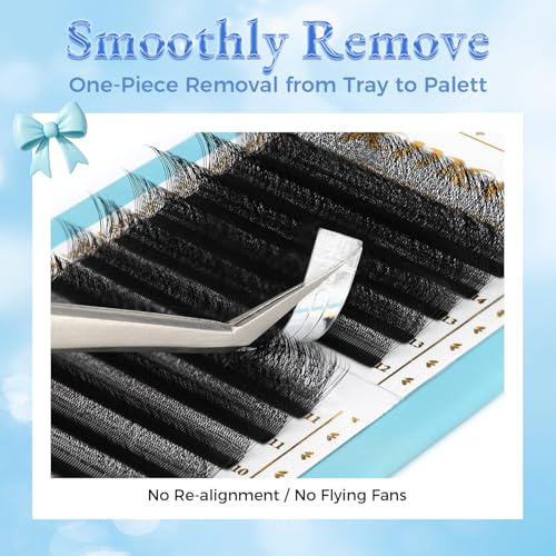 4D W-Shape Premade Fan Lash Extensions 0.07mm C/D/M Curl