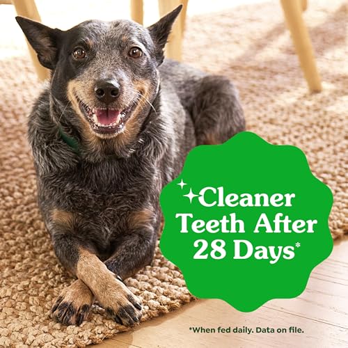 Greenies Dental Dog Treats Regular Size, 36 Count