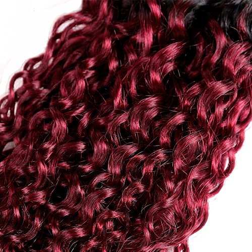 Burgundy Water Wave Human Hair Bundles - 3 Pack 99J Virgin Hair