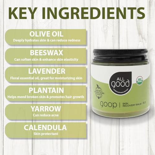 All Good Goop Organic Skin Care Recovery Balm - All Purpose Ointment w/Calendula, Lavender, Beeswax - Chafing Cream, Dry Skin Salve, Cracking Lip Moisturizer - Soothes, Hydrates & Calms - 4oz, 2-pack